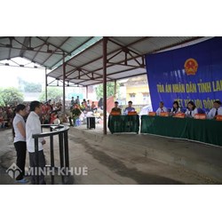 Thực tiễn hoạt động xét xử trong việc bảo vệ công lý
