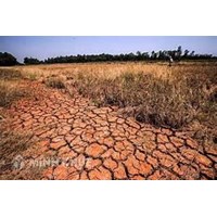 Quy định pháp luật về xây dựng hệ thống thông tin đất đai