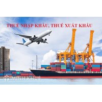 Quy định về khai hải quan đối với hàng hóa xuất khẩu, nhập khẩu ?