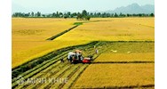 Căn cứ tính thuế sử dụng đất nông nghiệp ? Cách khai thuế, nộp thuế sử dụng đất nông nghiệp ?