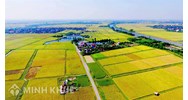 Mức thuế phải nộp khi chuyển mục đích sử dụng đất trồng lúa?