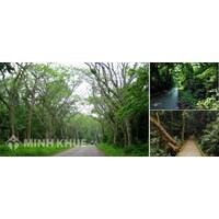 Đất rừng sản xuất là gì? Các loại đất rừng theo quy định?