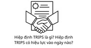 Hiệp định TRIPS là gì? Hiệp định TRIPS có hiệu lực vào ngày nào?