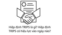 Hiệp định TRIPS là gì? Hiệp định TRIPS có hiệu lực vào ngày nào?