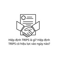 Hiệp định TRIPS là gì? Hiệp định TRIPS có hiệu lực vào ngày nào?