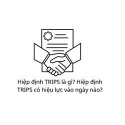 Hiệp định TRIPS là gì? Hiệp định TRIPS có hiệu lực vào ngày nào?