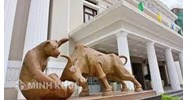 Một số vấn đề lý luận và quy định của pháp luật về cơ cấu, tổ chức của sở giao dịch chứng khoán