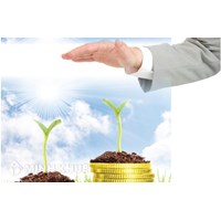 Điều kiện bảo hộ giống cây trồng ở Việt Nam theo luật sở hữu trí tuệ  ?