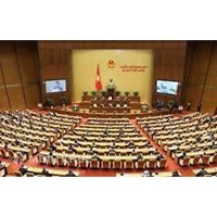Nguyên tắc phân công, phối hợp và kiểm soát giữa các cơ quan lập pháp, hành pháp theo Hiến pháp 2013