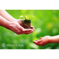 Quy định về hợp đồng chuyển giao quyền sử dụng, chuyển nhượng quyền đối với giống cây trồng