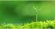 Chân lý là gì? Tính chất, vai trò của chân lý đối với thực tiễn