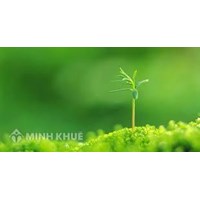 Chân lý là gì? Tính chất, vai trò của chân lý đối với thực tiễn