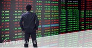 Thế nào là nhà đầu tư chứng khoán? Quy định về nhà đầu tư chứng khoán?