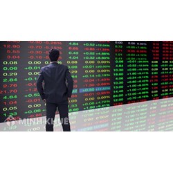Thế nào là nhà đầu tư chứng khoán? Quy định về nhà đầu tư chứng khoán?