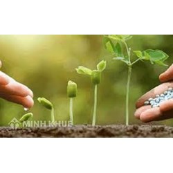 Vi phạm quy định về sản xuất và kinh doanh giống cây trồng bị phạt như thế nào?