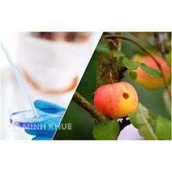 Mức phạt hành vi vi phạm quy định về kiểm dịch thực vật xuất khẩu, nhập khẩu và quá cảnh
