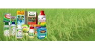 Mức phạt hành vi vi phạm quy định về sản xuất thuốc bảo vệ thực vật như thế nào?