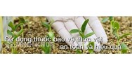 Thu hồi, tiêu hủy, xử lý thuốc bảo vệ thực vật sau khi xử dụng như thế nào?