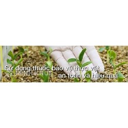 Thu hồi, tiêu hủy, xử lý thuốc bảo vệ thực vật sau khi xử dụng như thế nào?