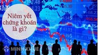 Niếm yết chứng khoán, một số đặc điểm của niêm yết chứng khoán