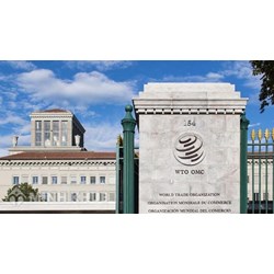 Nguyên tắc giải quyết tranh chấp của cơ quan giải quyết tranh chấp WTO