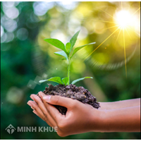 Bồi thường khi Nhà nước thu hồi đất và đền bù thiệt hại khi Nhà nước thu hồi đất?