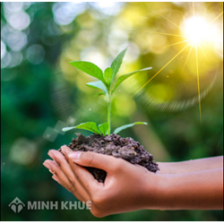 Bồi thường khi Nhà nước thu hồi đất và đền bù thiệt hại khi Nhà nước thu hồi đất?