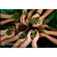 Đất nông nghiệp hết hạn thì được bồi thường như thế nào?