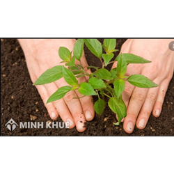 Một số vấn đề về nguyên nhân và phân loại các tranh chấp đất đai?