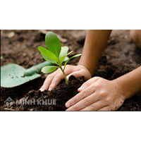 Khái niệm, đặc điểm và yêu cầu của giải quyết tranh chấp đất đai?
