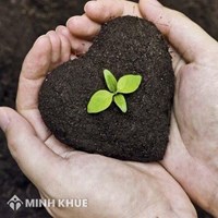 Vai trò của bất động sản thế chấp trong hoạt động tín dụng của các ngân hàng?