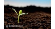 Một số yếu tố ảnh hưởng đến hoạt động thẩm định giá bất động sản thế chấp?