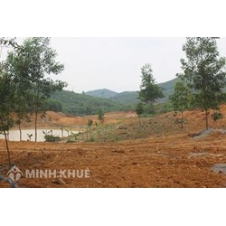 Vai trò của tín dụng khách hàng cá nhân đối với nền kinh tế?