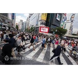 Tìm hiểu về hệ thống công vụ Nhật Bản? Đặc điểm của hệ thống công vụ Nhật Bản?