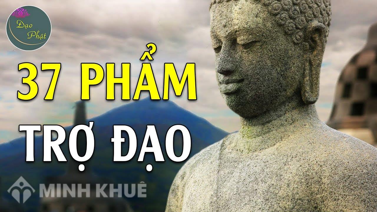 37 phẩm trợ đạo là gì? 
