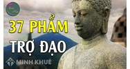 Phẩm trợ đạo (Bodhipakkhiya-dhamma) là gì ? Nội dung của 37 Phẩm Trợ Đạo