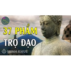 Phẩm trợ đạo (Bodhipakkhiya-dhamma) là gì ? Nội dung của 37 Phẩm Trợ Đạo