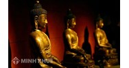 Tứ chánh cần (Sammappadhàna) là gì ? Có các loại chánh cần nào ?