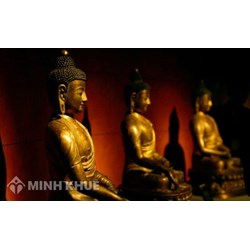 Tứ chánh cần (Sammappadhàna) là gì ? Có các loại chánh cần nào ?