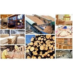 Các nội dung chủ yếu của Đề án phát triển ngành công nghiệp chế biến gỗ bền vững, hiệu quả giai đoạn 2021 - 2030
