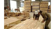 Các cơ quan có trách nhiệm tổ chức thực hiện Đề án phát triển ngành công nghiệp chế biến gỗ bền vững