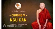 Ngũ căn (Indriya) là gì ? Tín Căn, tấn căn, niệm căn, định căn, tuệ căn là gì ?
