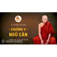 Ngũ căn (Indriya) là gì ? Tín Căn, tấn căn, niệm căn, định căn, tuệ căn là gì ?