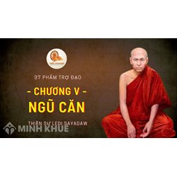 Ngũ căn (Indriya) là gì ? Tín Căn, tấn căn, niệm căn, định căn, tuệ căn là gì ?