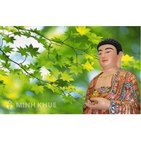 Ngũ lực (Bala) là gì ? Tín lực, tấn lực, niệm lực, định lực, tuệ lực là gì ?