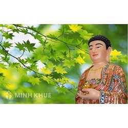 Ngũ lực (Bala) là gì ? Tín lực, tấn lực, niệm lực, định lực, tuệ lực là gì ?