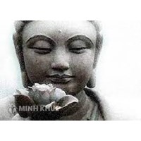 Thất giác chi (Bojjhanga) là gì ? Nội dung Bảy Yếu Tố của sự Giác Ngộ (Thất Giác Chi)