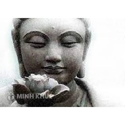 Thất giác chi (Bojjhanga) là gì ? Nội dung Bảy Yếu Tố của sự Giác Ngộ (Thất Giác Chi)