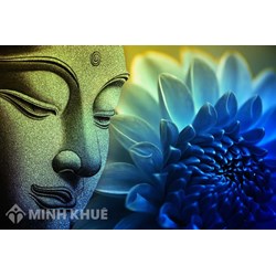 Tìm hiểu về bốn chân lý cao quý (tứ diệu đế) trong Đạo Phật ?