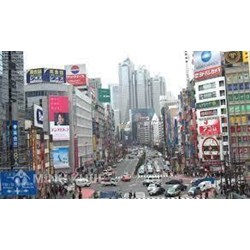Tìm hiểu về hoạt động trợ giúp pháp lý ở Nhật Bản